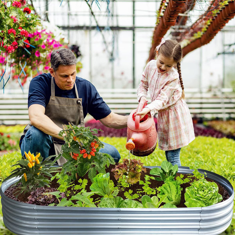Lit de jardin surélevé galvanisé pour l'extérieur, H 12 po x l 84 po x P 36 po