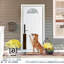 Accessoire de porte pour animal de compagnie Acrion-83263576-83263572