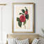 Red Botanical I - Cadre photo, reproduction d'art sur papier-44313285-44313284