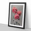 Fuscia Pink Chrysanthemums by Ogawa Kazumasa - Framed Print-55579001-55579003