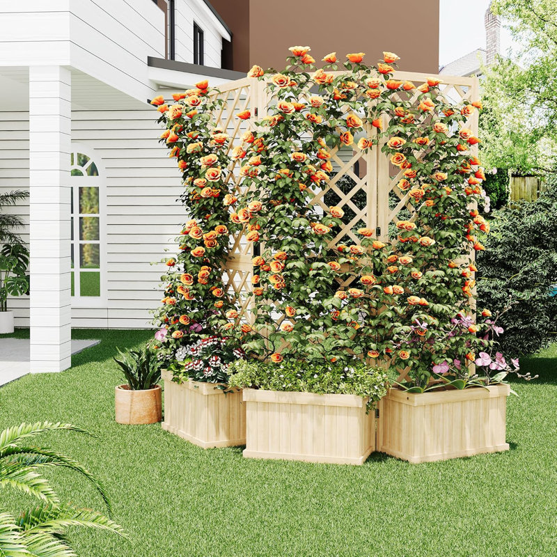 Paravent Cedar, H 65,04 po x l 62,01 po x P 10,39 po
