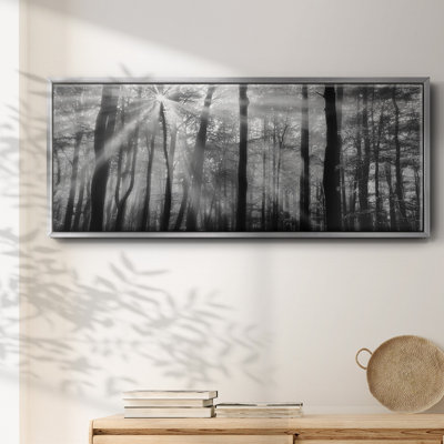 Breaking Through- Framed Canvas