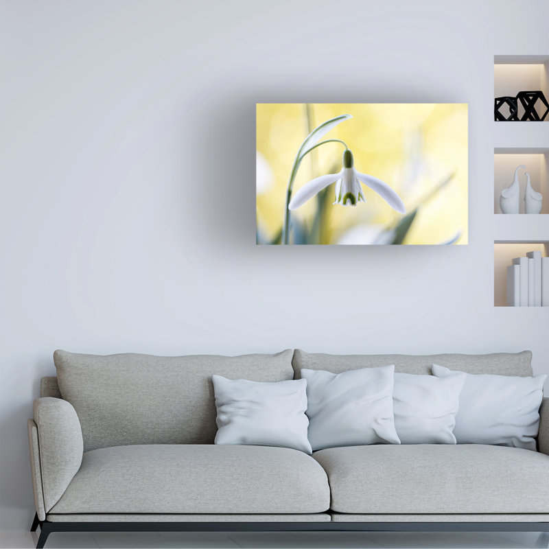 Mandy Disher Snowdrops Canvas Art, H 12 po x l 19 po