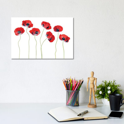 Ladybird Poppies 1 Piece Wall Art on Canvas