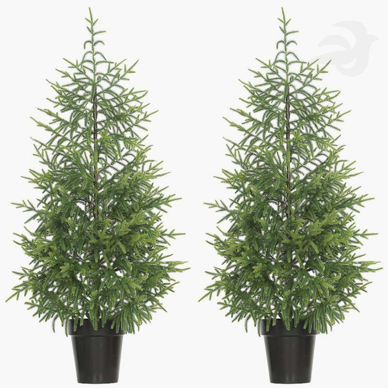 2-Piece 4FT Norfolk Pine Artificial Christmas Tree Set: 133 Moulded Tips Per Tree, Pot Base
