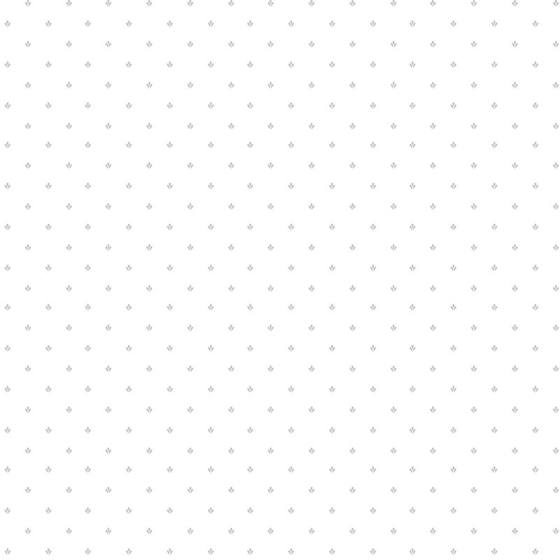 Rouleau de papier peint L 2,25 pi x l 20,5 po Splash Print, Gris