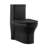 Monaco One-Piece Elongated Toilet Dual-Flush 1.1/1.6 gpf-121372819-121372823-121372822