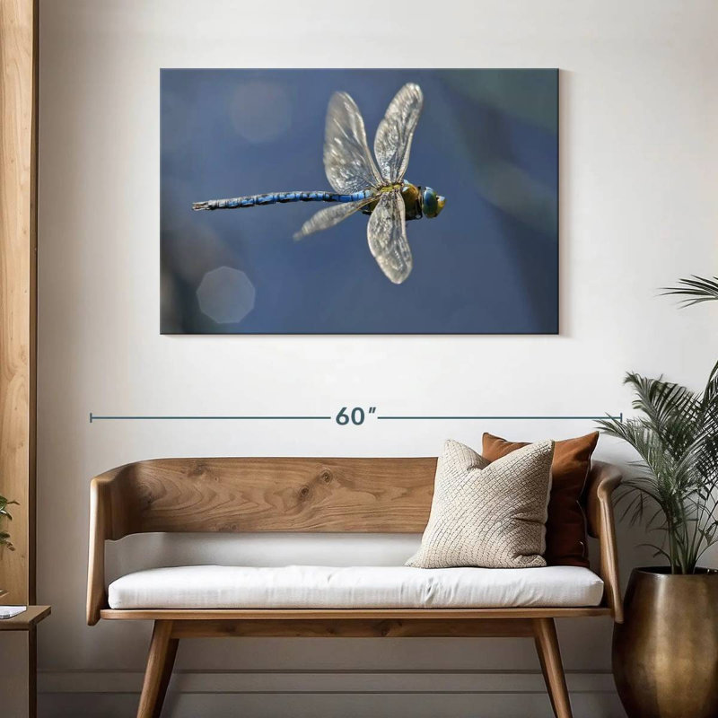 Brampt Flying Emperor Dragonfly, 30" H x 45" W