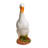 Duck Statue