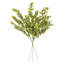34 plantes
