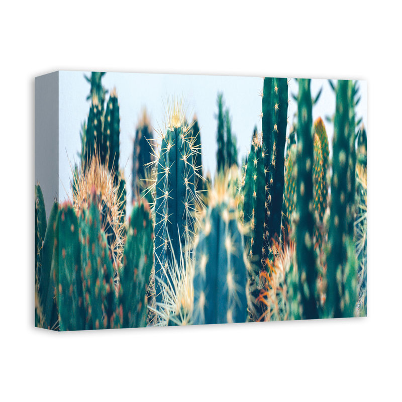 Jardin de cactus sur toile, H 11 po x l 14 po x P 1,25 po