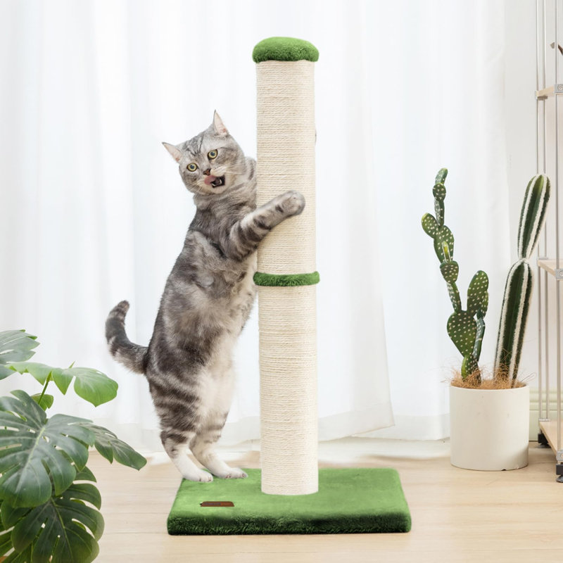 Arbre à chat 34 po avec corde en sisal naturel 4,3 po, Vert