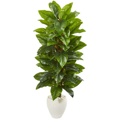 63 " H Faux Philodendron Plant in Earthenware Pot