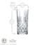 RCR Melodia Glass Highball Glass Glassware