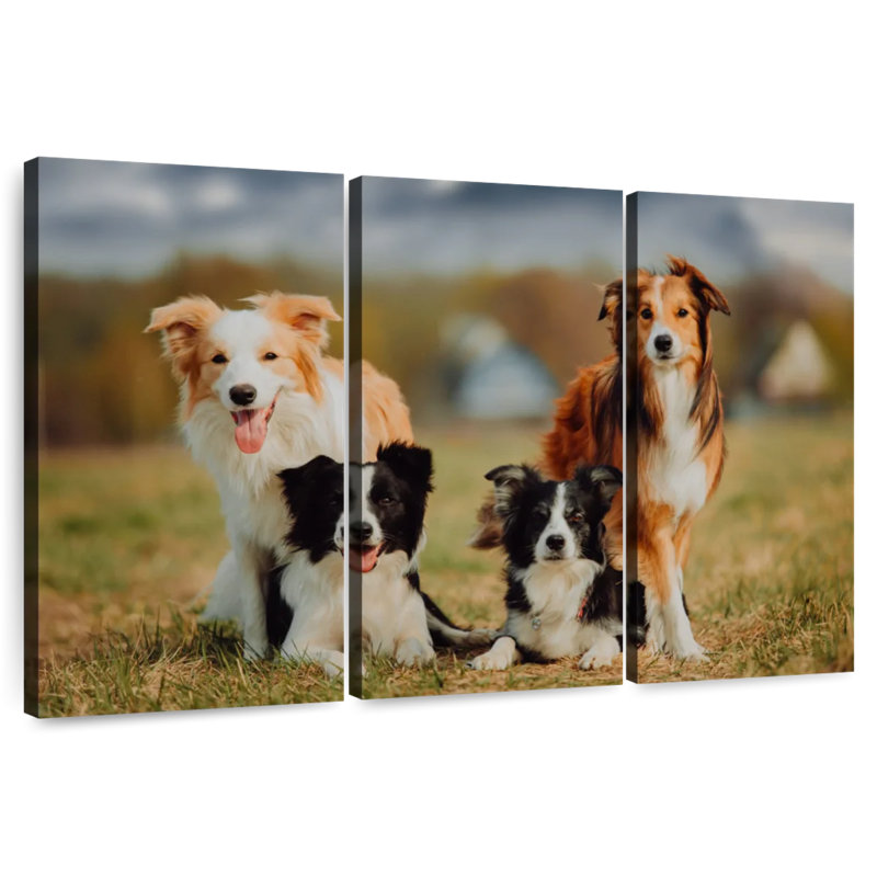 Border Collie Dogs, 20" H x 33" W