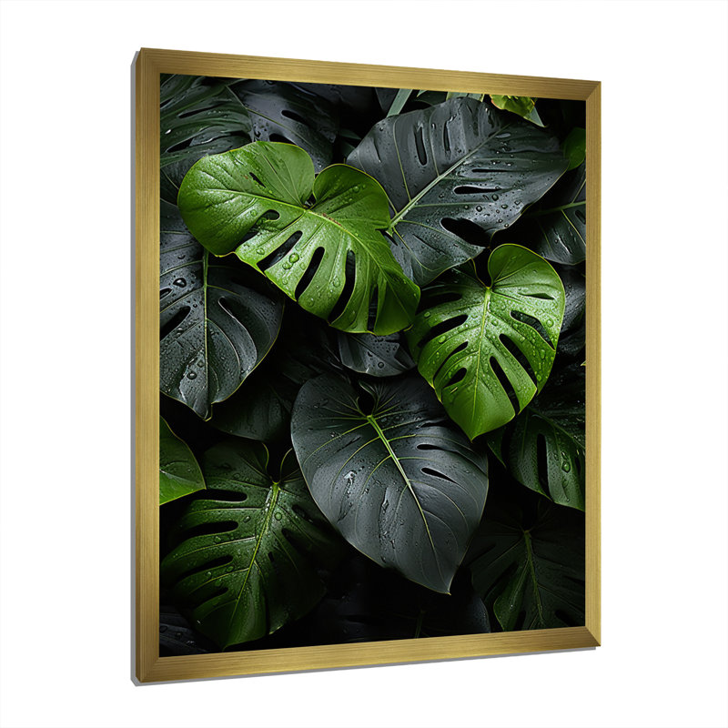 Dominicain, feuillage tropical II - impression, H 32 po x l 24 po x P 1 po, Encadrement doré