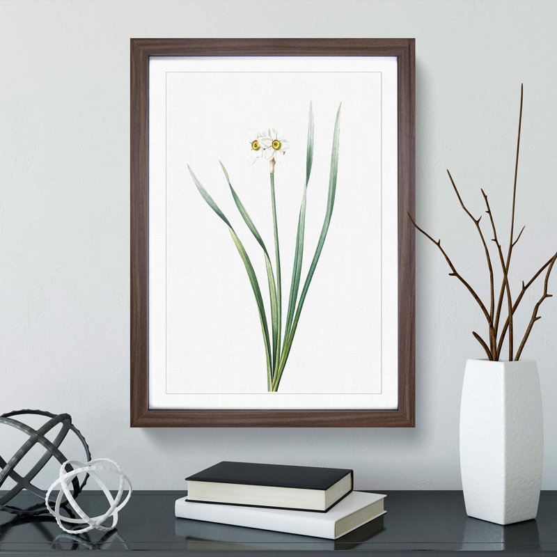 Primrose Flowers by Pierre-Joseph Redoute - Picture Frame Painting Print, Walnut Framed, 36cm H x 27cm W x 2cm D