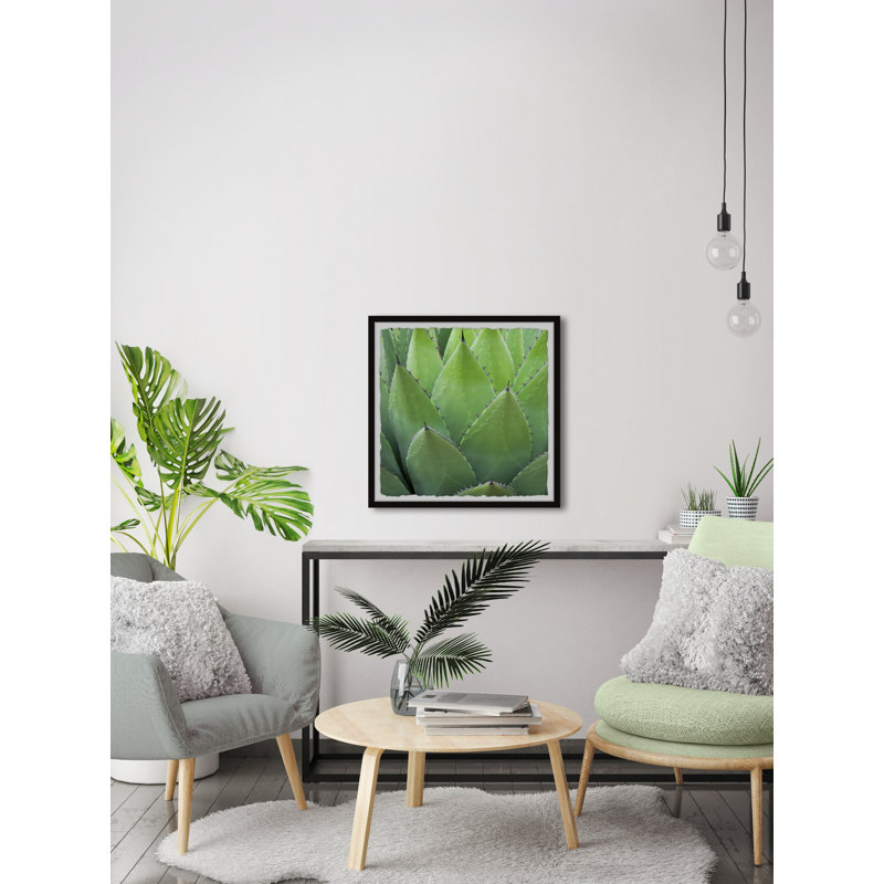 Pointy Leaves - Single Picture Frame Painting, 51 cm H x 51 cm W