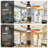 Geremias 52'' Ceiling Fan with LED Lights