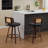 Contemporary Leisure Barstools
