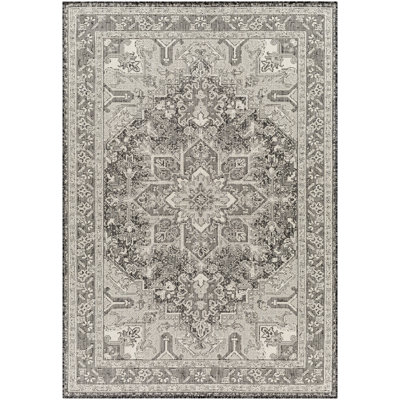 Tapis intérieur / extérieur gris anthracite en polypropylène tissé à la machine Oriental
