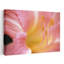 Gros plan sur une fleur rose abstraite avec étamine, art mural contemporain abstrait-977053519