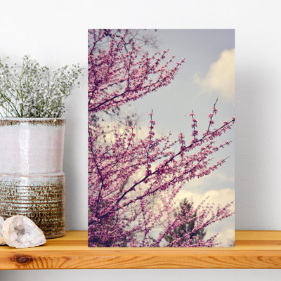 Delicate Pink Blossoms by Olivia Joy StClaire - Wrapped Canvas Print