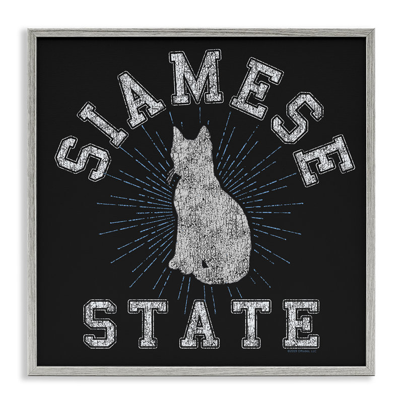 Art giclée par un chat siamois par Spirit Animals / Life Is High, Estampe numérique Farmhouse, H 17 po x l 17 po
