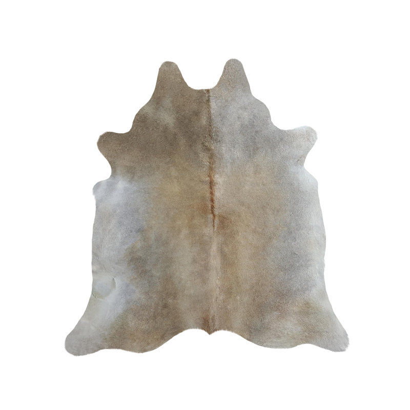 Amjad Cowhide Indoor Rug, Novelty 6' x 8'