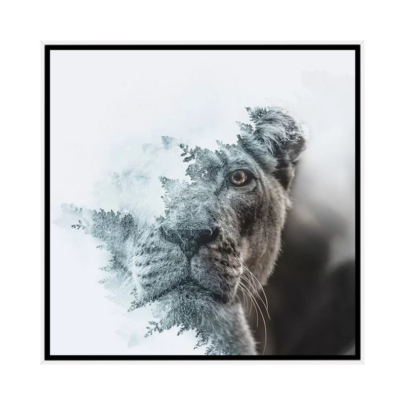 Lioness 1 Piece Wall Art on Canvas, 45.72 cm H x 45.72 cm W, White Framed