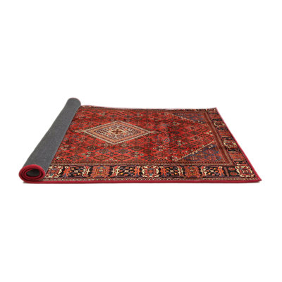 Dellrey Oriental Indoor Rug