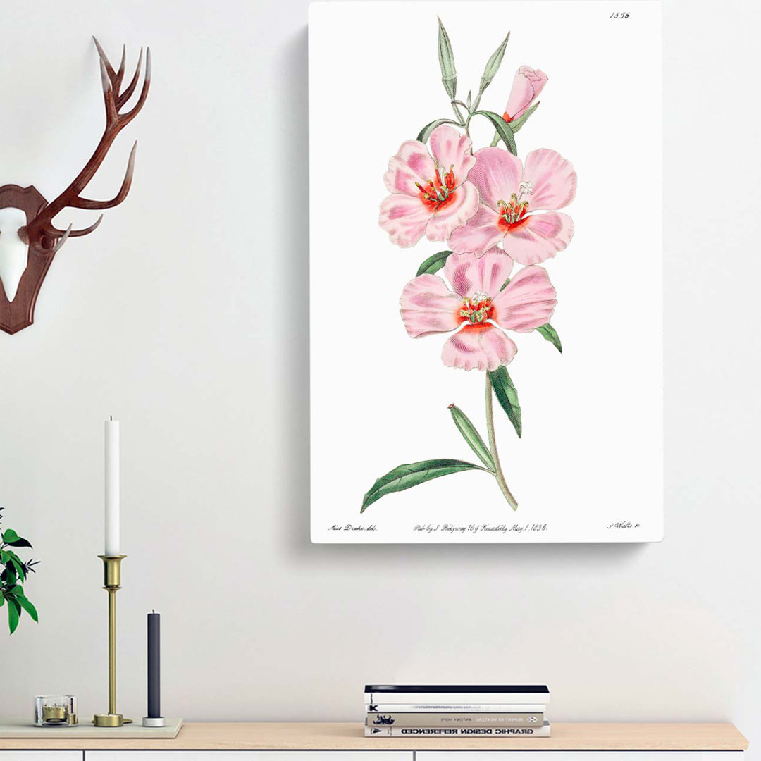 Blooming Pink Hibiscus Flowers - Wrapped Canvas