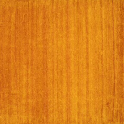 Performance Indoor Rug