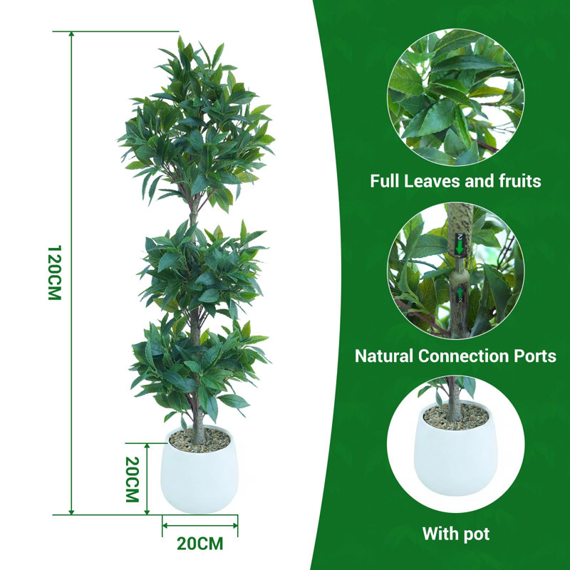 120cm Plant, White