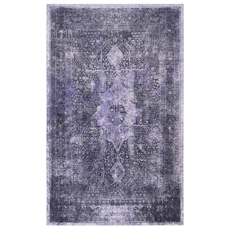 Tapis 9 x 12 po à poils courts, lavable à la machine, teint pour le salon, la chambre à coucher, la cuisine, la chambre anthracite, antidérapant et pour animaux de compagnie