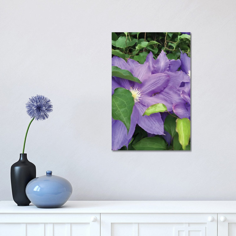 Clematis 1 Piece Wrapped Canvas Painting, 45.72cm H x 30.48cm W x 1.9cm D