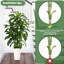 150cm Tree