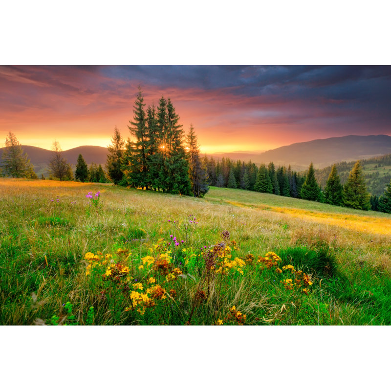 Morning Landscape - Wrapped Canvas Print, 30cm H x 46cm W