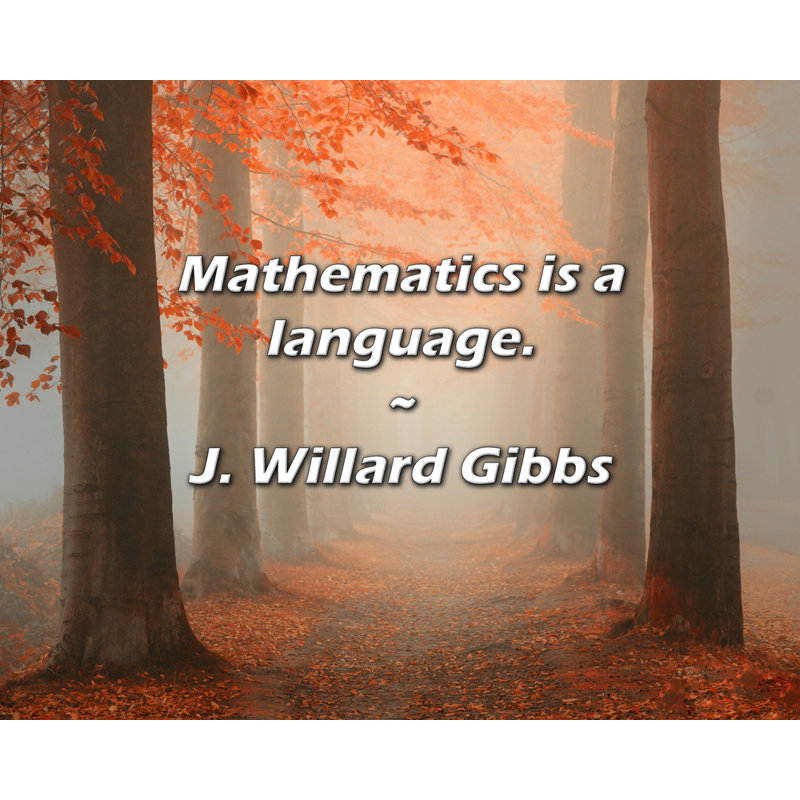 Artsy Quote "Mathematics is a language." By J. Willard Gibbs Gallery Wrapped Canvas, 24" H x 17" W