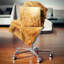 Coussin Schafer Ears of Wheat-1123622022-1123615533