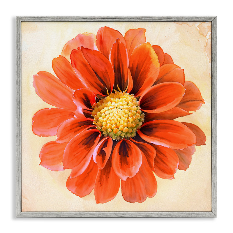 «Orange Dahlia Bloom», art de la giclée encadrée par Christine Zalewski, H 17 po x l 17 po, Estampe numérique Farmhouse