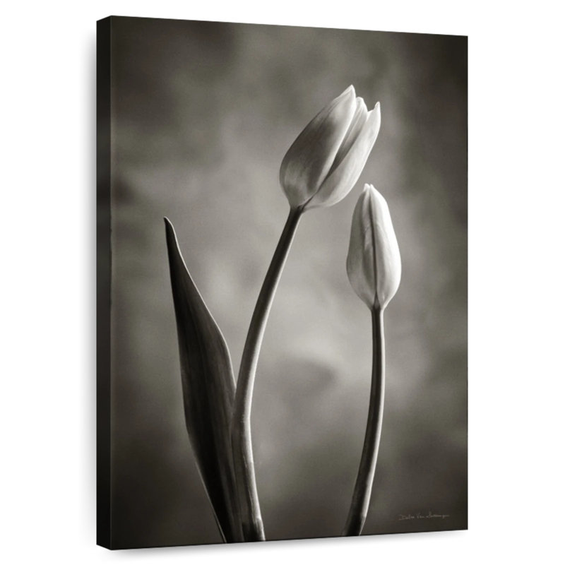 Harnek Two Tone Tulips III, 36" H x 24" W