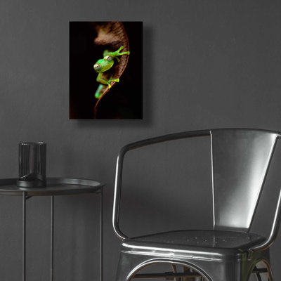 «Portrait de grenouille» par Thomas Haney