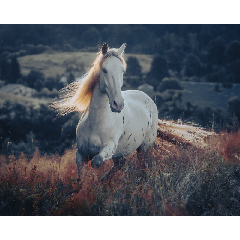 Wrapped Canvas Print, 60.96 cm H x 91.44 cm W