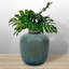Corvina Table Vase