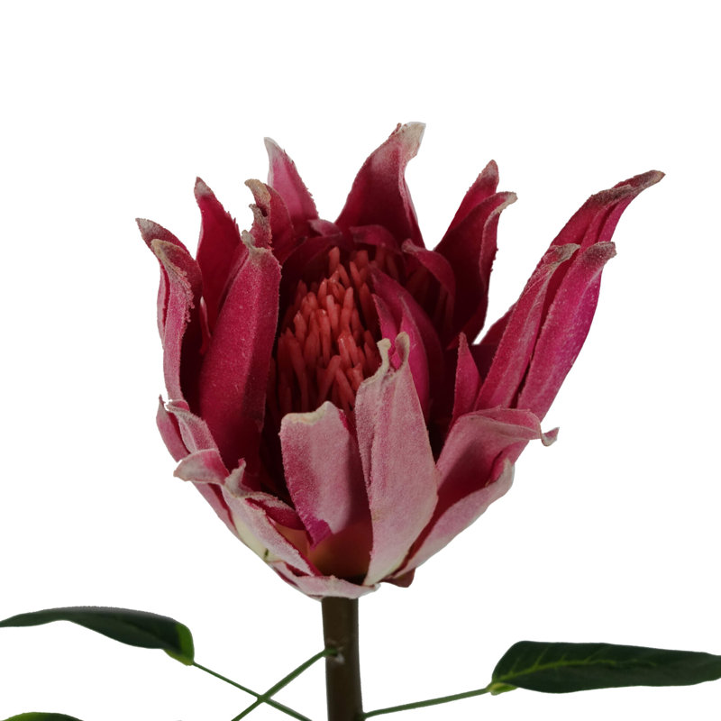 Plastic, Silk Artificial Arrangement, Pink