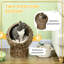 Lit pour chat surélevé tissé à la main avec coussin moelleux - forme de chaise d'œuf rotative, panier en osier surélevé pour chats d'intérieur-382974368-382975582