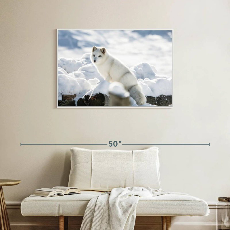Arctic Fox, 37" X 25", Floating Frame White
