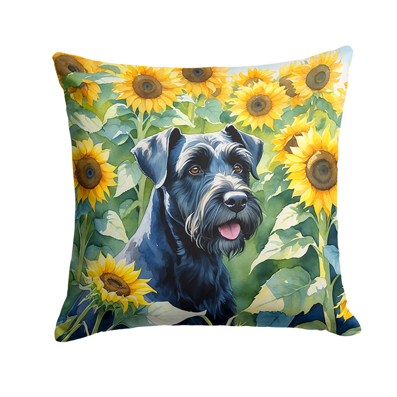 Coussin décoratif intérieur / extérieur Autre / Sans motif, H 18 po x l 18 po