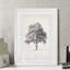 « rétro arbor study i » par paul cezanne-cadre photo, reproduction d’art-140381594-140381600